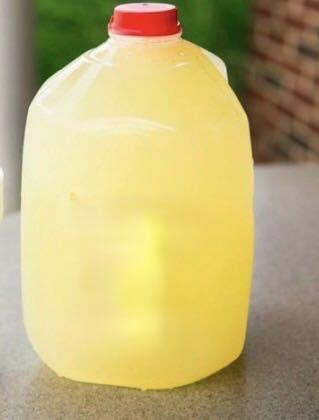 Gallon Drink Lemonade